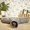 3 Way Collapsible Cat Play Tunnel - Cat Playing Front View