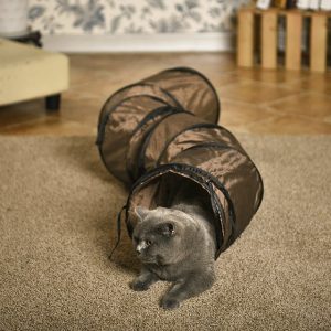 Cat Tunnels