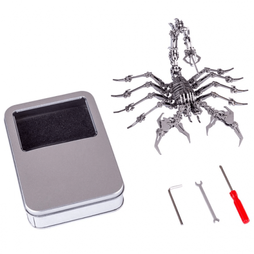Stainless Steel Insect Model Kits - Box and Tools