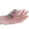 Stainless Steel Insect Model Kits - Cicada Display