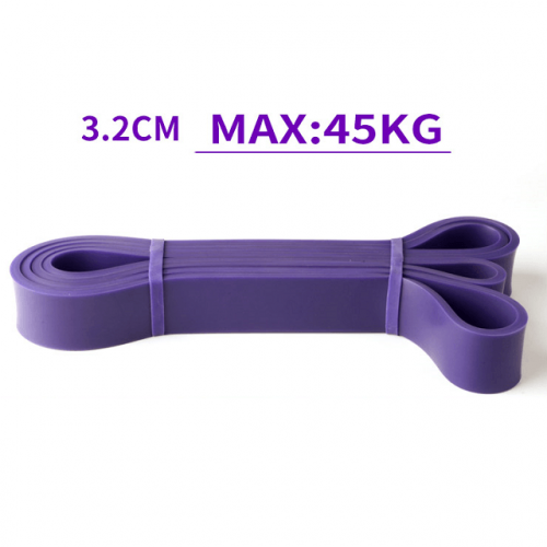 Resistance Power Band Set - Purple 45kg Load