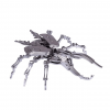 Stainless Steel Insect Model Kits - Beatle