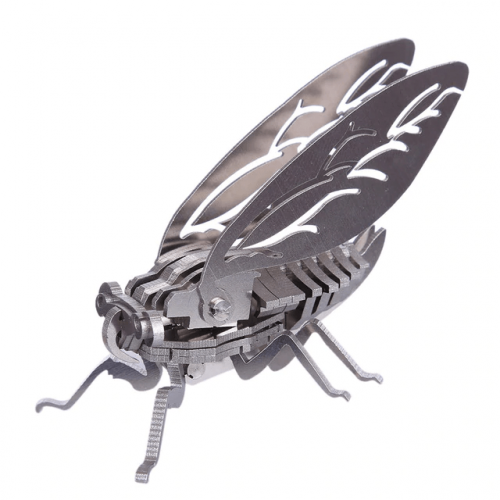 Stainless Steel Insect Model Kits - Cicada