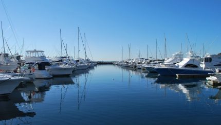 12 Things to Do in Port Stephens